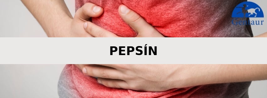 Pepsín – čo je to a kde sa nachádza?