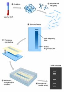 Co je fingerprint technika?